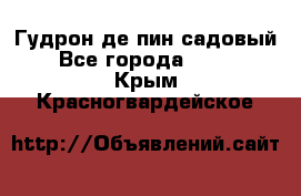 Гудрон де пин садовый - Все города  »    . Крым,Красногвардейское